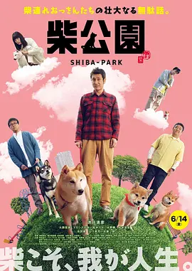 韩小姐出轨现场
