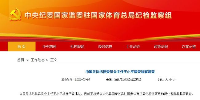 成人精品国产