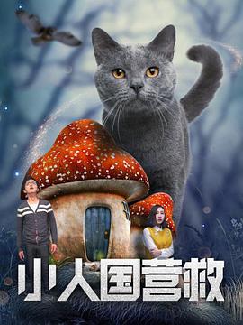 久久香蕉影视