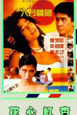 久久精品二区