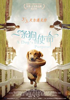 皱眉的兴奋