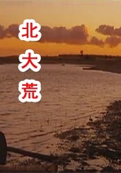 午夜一级毛片免费视频