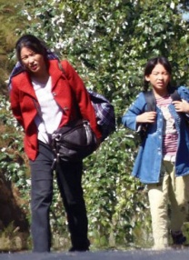 青青视频免费在线