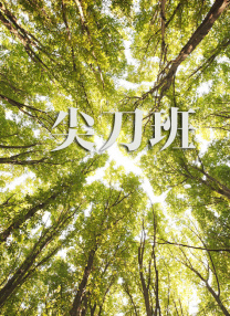 诱惑课外老师