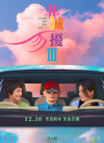 我的秘书小姐