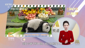 激情四射床戏